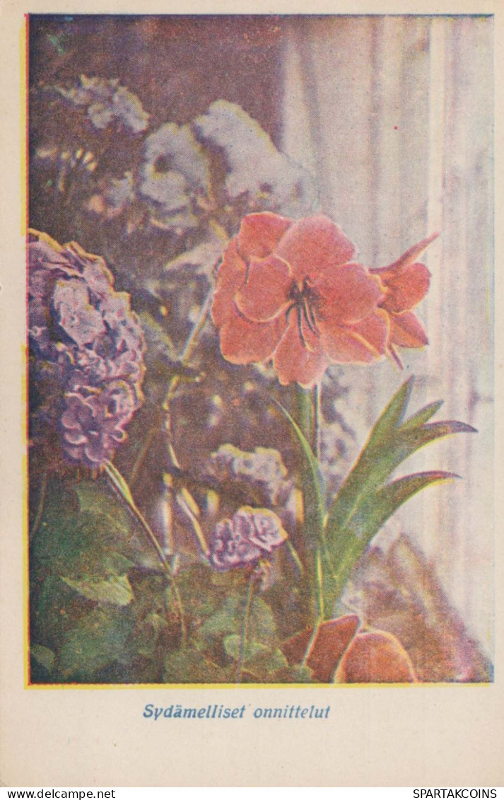 FLEURS Vintage Carte Postale CPA #PKE555.FR - Blumen