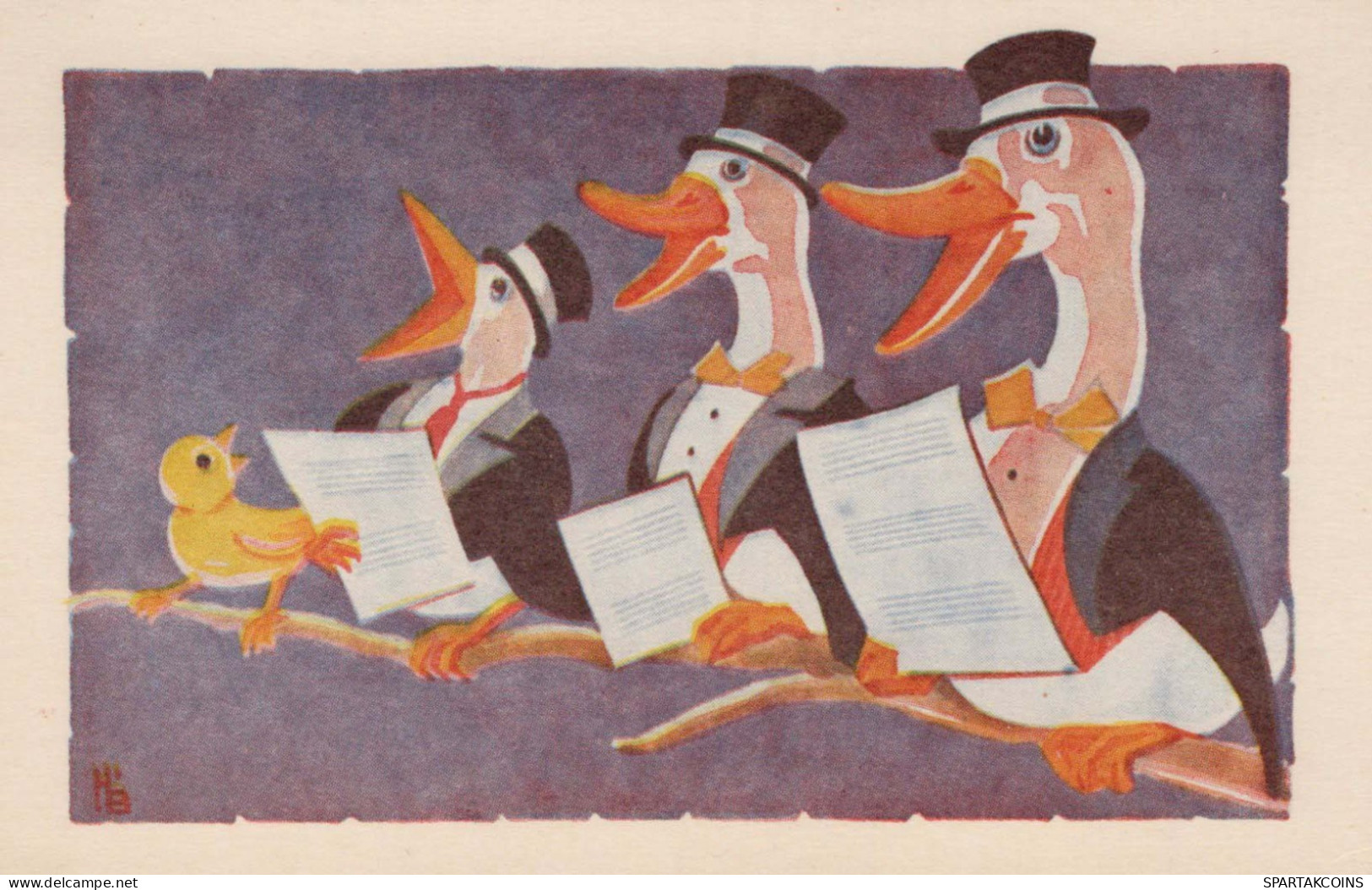 OISEAU Animaux Vintage Carte Postale CPA #PKE803.FR - Birds