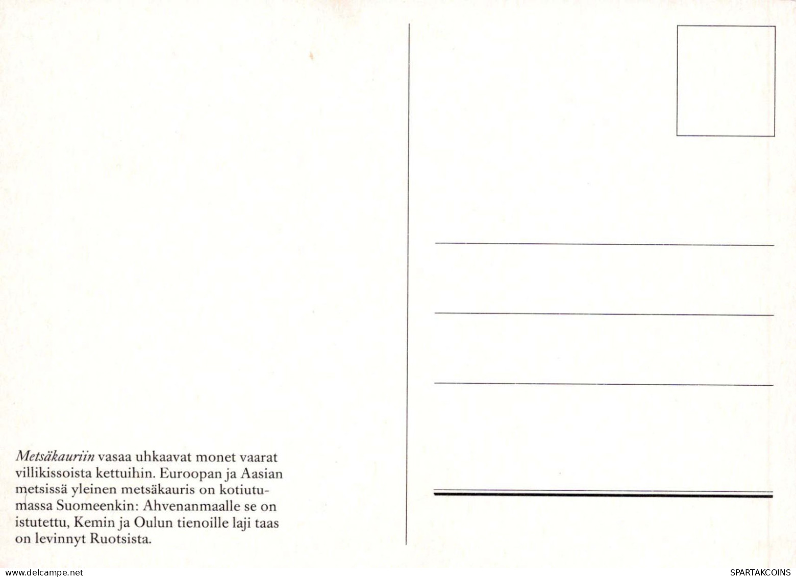 CERF Animaux Vintage Carte Postale CPSM #PBS530.FR - Sonstige & Ohne Zuordnung