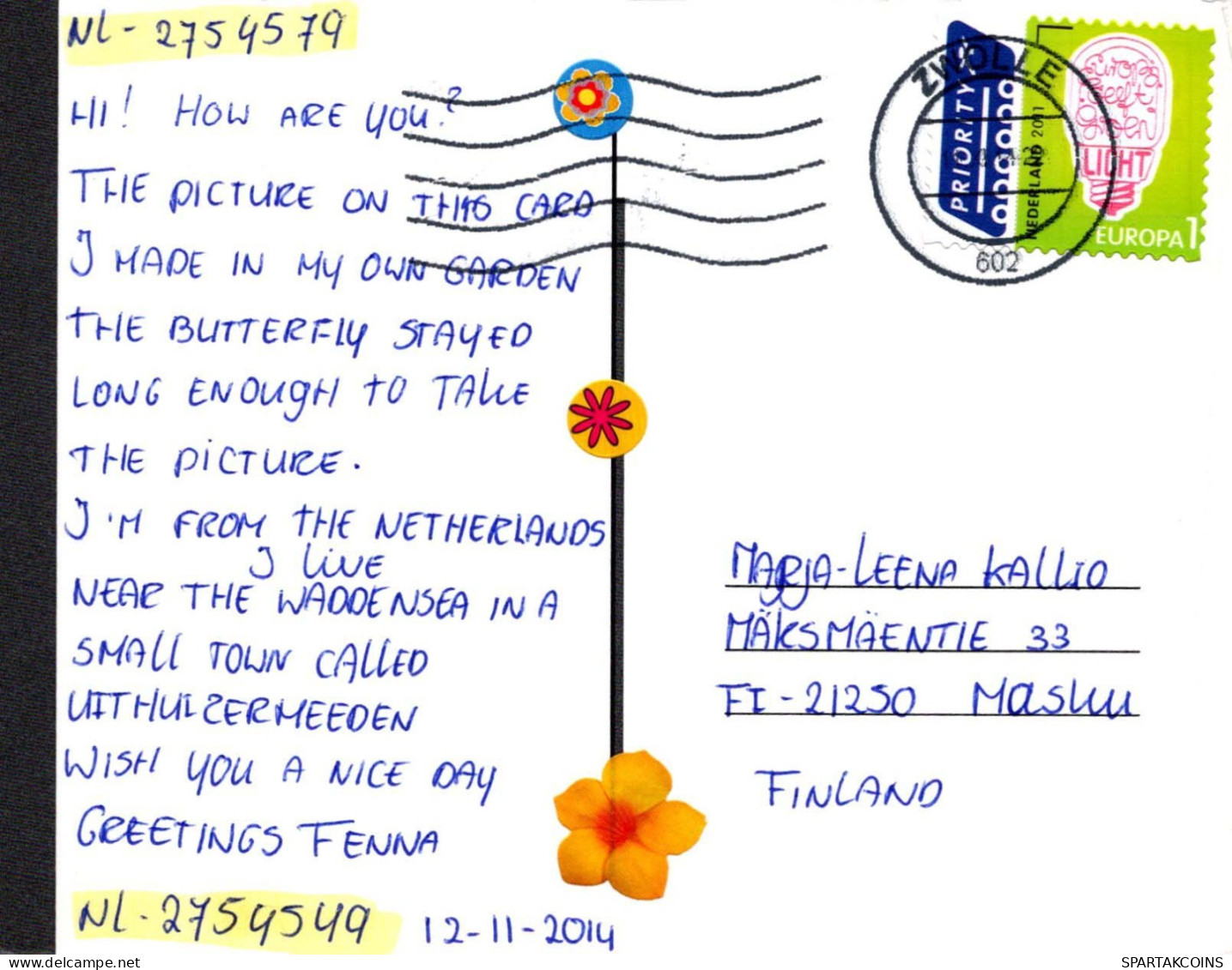 PAPILLONS Animaux Vintage Carte Postale CPSM #PBS469.FR - Butterflies