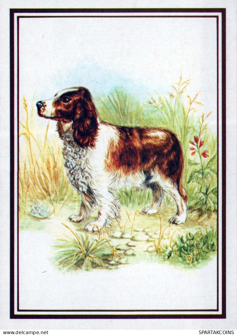 CHIEN Animaux Vintage Carte Postale CPSM #PBQ374.FR - Dogs