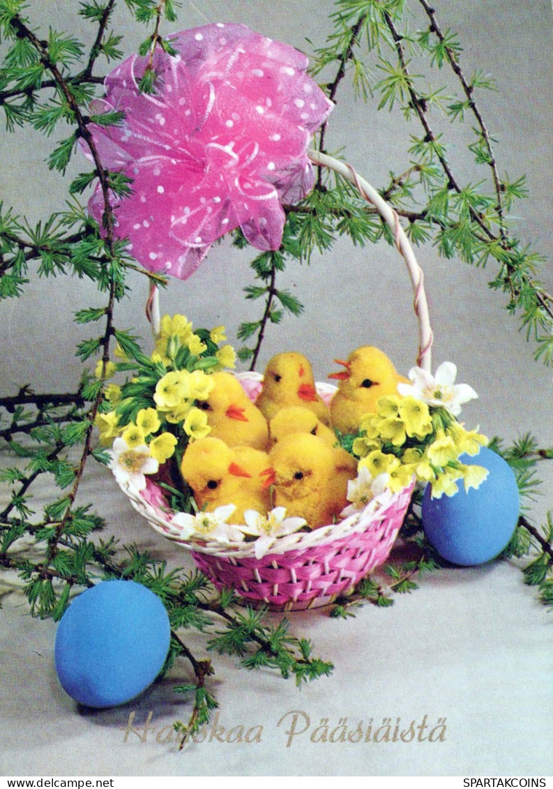 PÂQUES POULET ŒUF Vintage Carte Postale CPSM #PBO855.FR - Easter