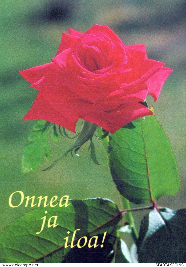 FIORI Vintage Cartolina CPSM #PAS216.IT - Flowers