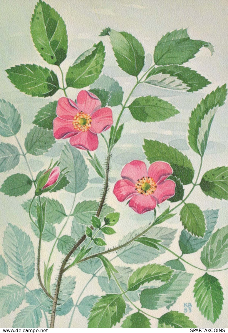 FIORI Vintage Cartolina CPSM #PAR495.IT - Flowers