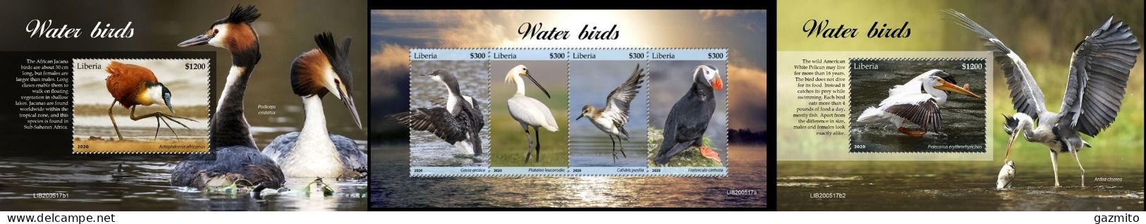 Liberia 2020, Animals, Water Birds, 4val In BF+2BF - Storks & Long-legged Wading Birds