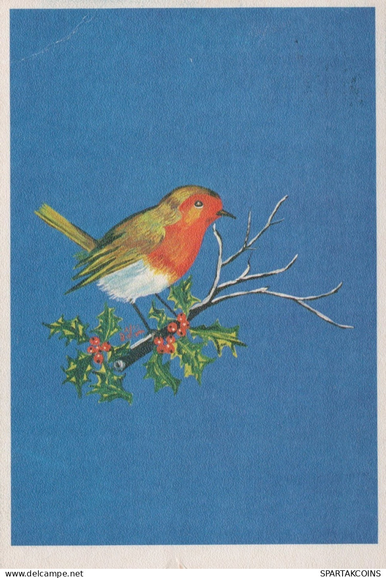 UCCELLO Animale Vintage Cartolina CPSM #PAN054.IT - Vogels
