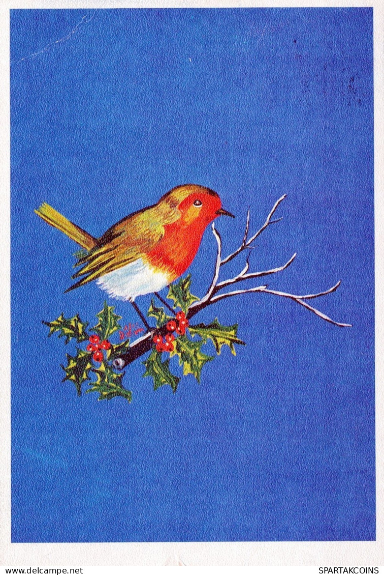 UCCELLO Animale Vintage Cartolina CPSM #PAN054.IT - Oiseaux