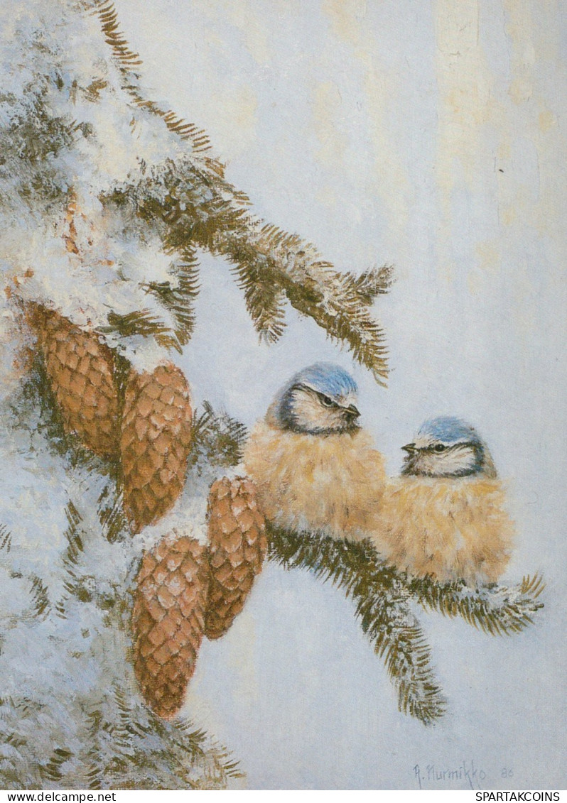 UCCELLO Animale Vintage Cartolina CPSM #PAM929.IT - Birds