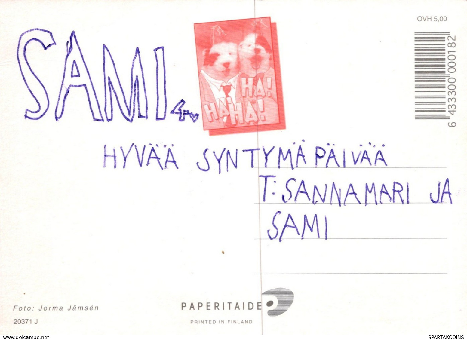GATTO KITTY Animale Vintage Cartolina CPSM #PAM362.IT - Chats