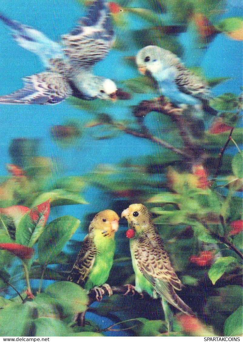 BIRD Animals LENTICULAR 3D Vintage Postcard CPSM #PAZ100.GB - Uccelli