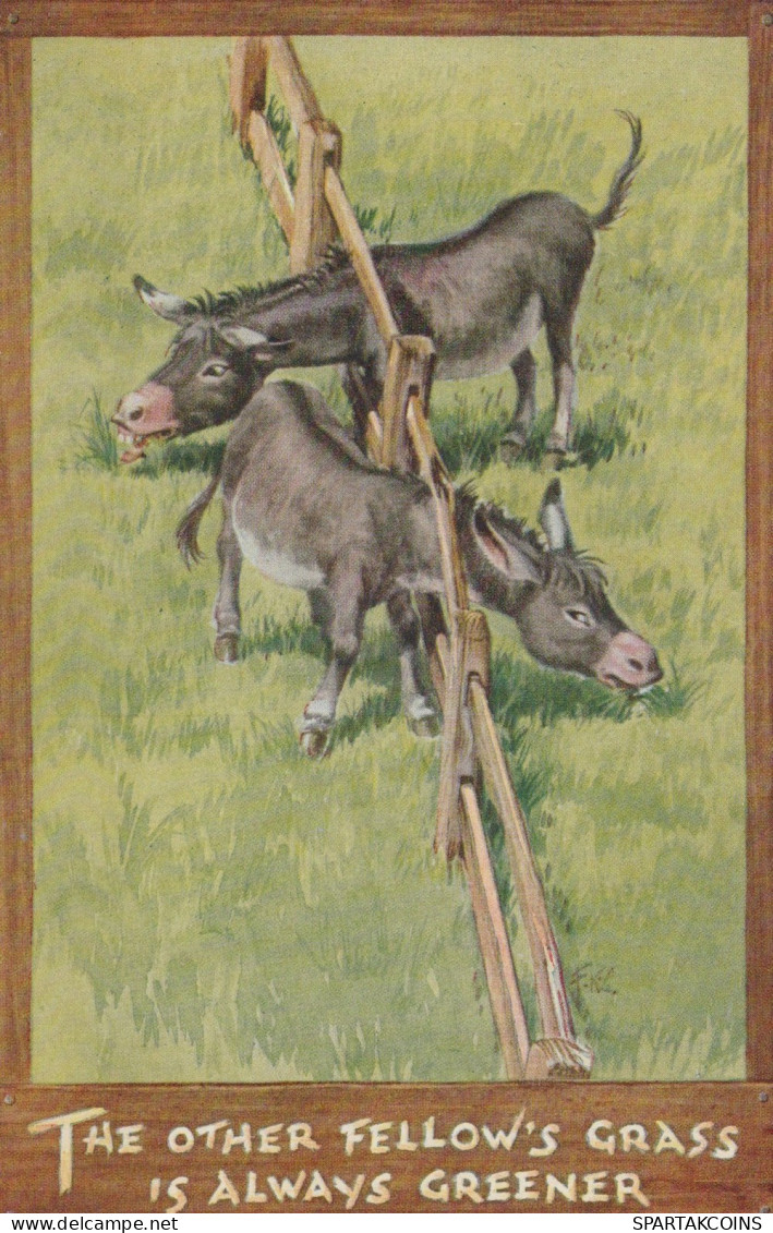 DONKEY Animals Vintage Antique Old CPA Postcard #PAA154.GB - Anes