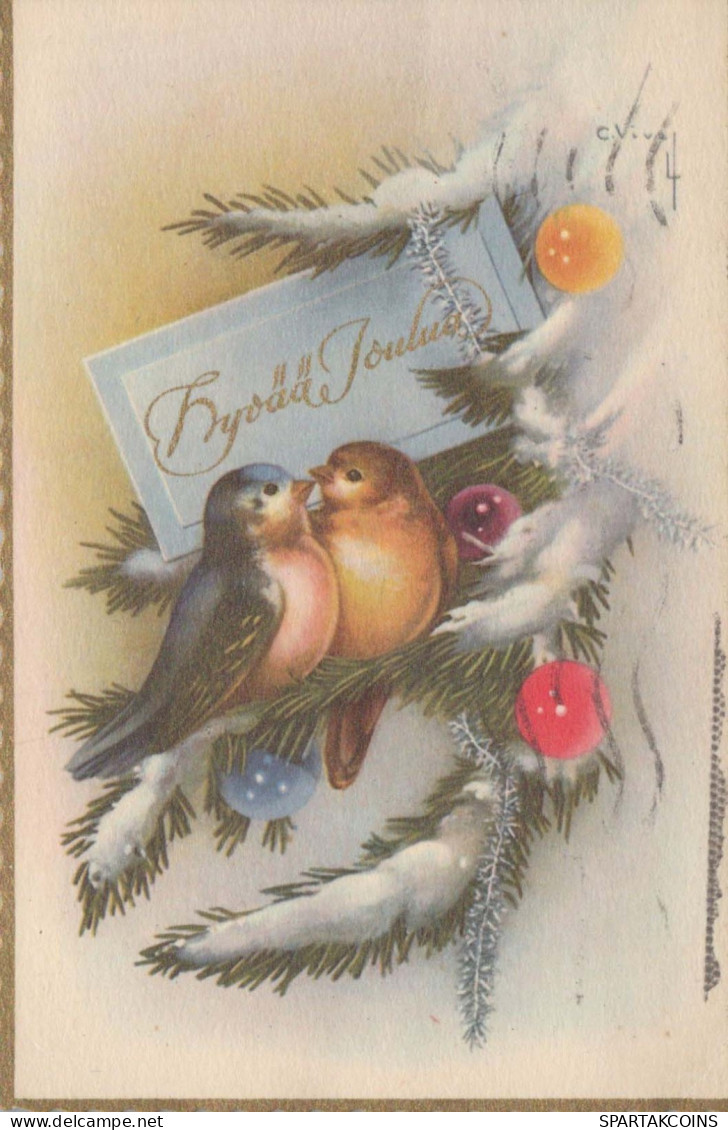 BIRD Vintage Postcard CPSMPF #PKG974.GB - Birds