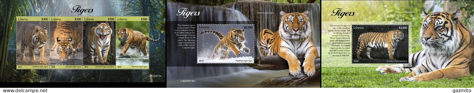 Liberia 2020, Animals, Tigers, 4val In BF +2BF - Félins