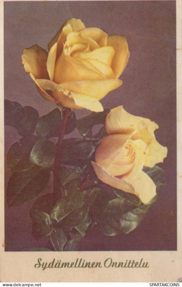 FLOWERS Vintage Postcard CPA #PKE614.GB - Flowers
