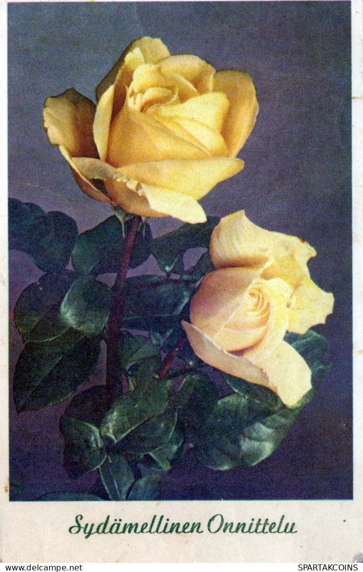 FLOWERS Vintage Postcard CPA #PKE614.GB - Fleurs