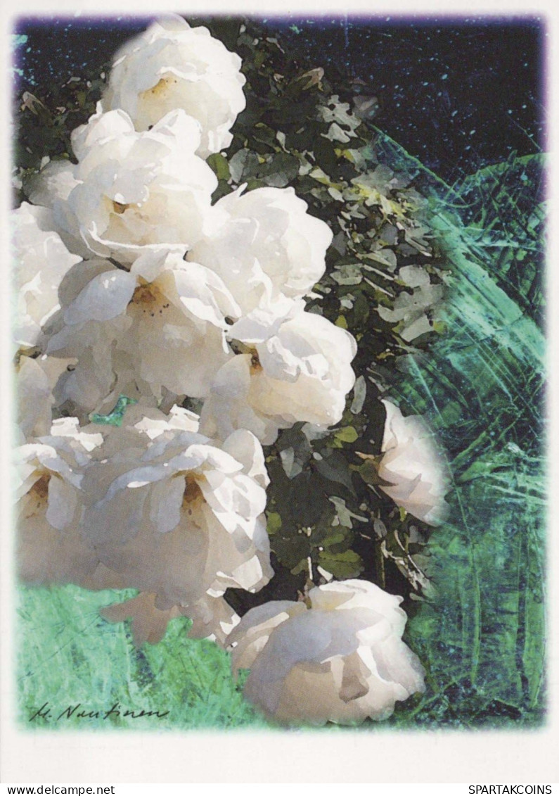 FLOWERS Vintage Postcard CPSM #PBZ559.GB - Blumen