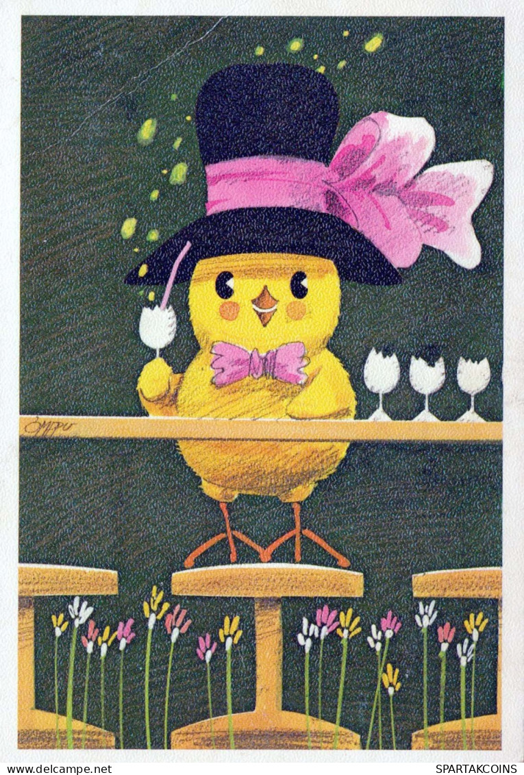 BIRD Animals Vintage Postcard CPSM #PBR614.GB - Uccelli