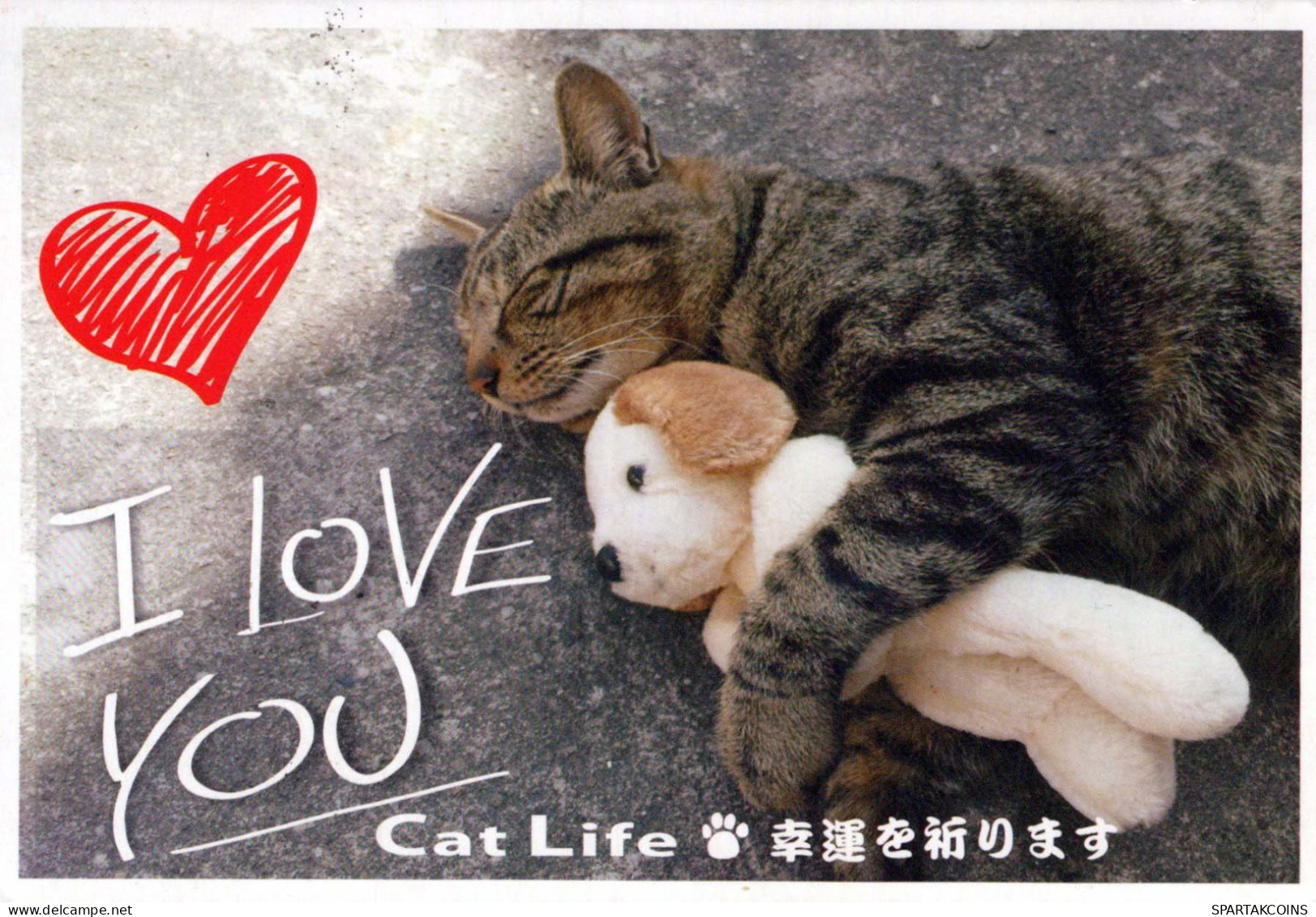 CAT KITTY Animals Vintage Postcard CPSM #PBQ958.GB - Chats