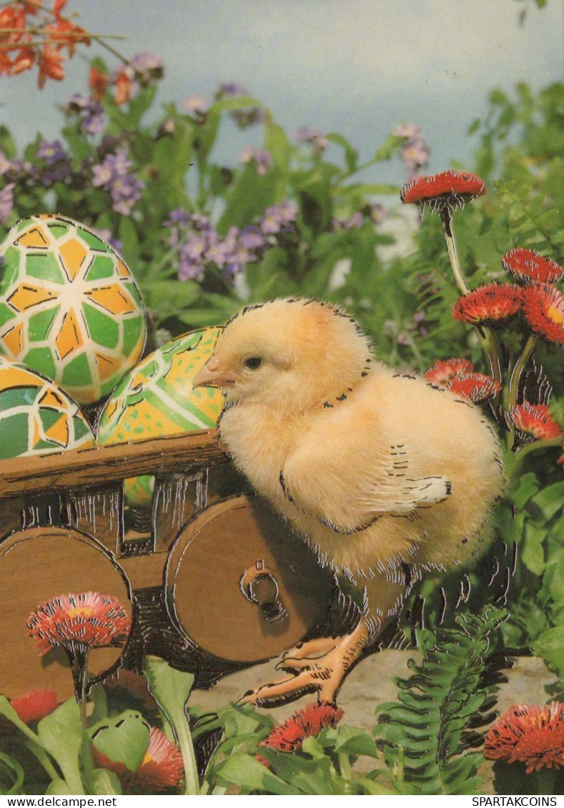 EASTER CHICKEN EGG Vintage Postcard CPSM #PBP167.GB - Easter