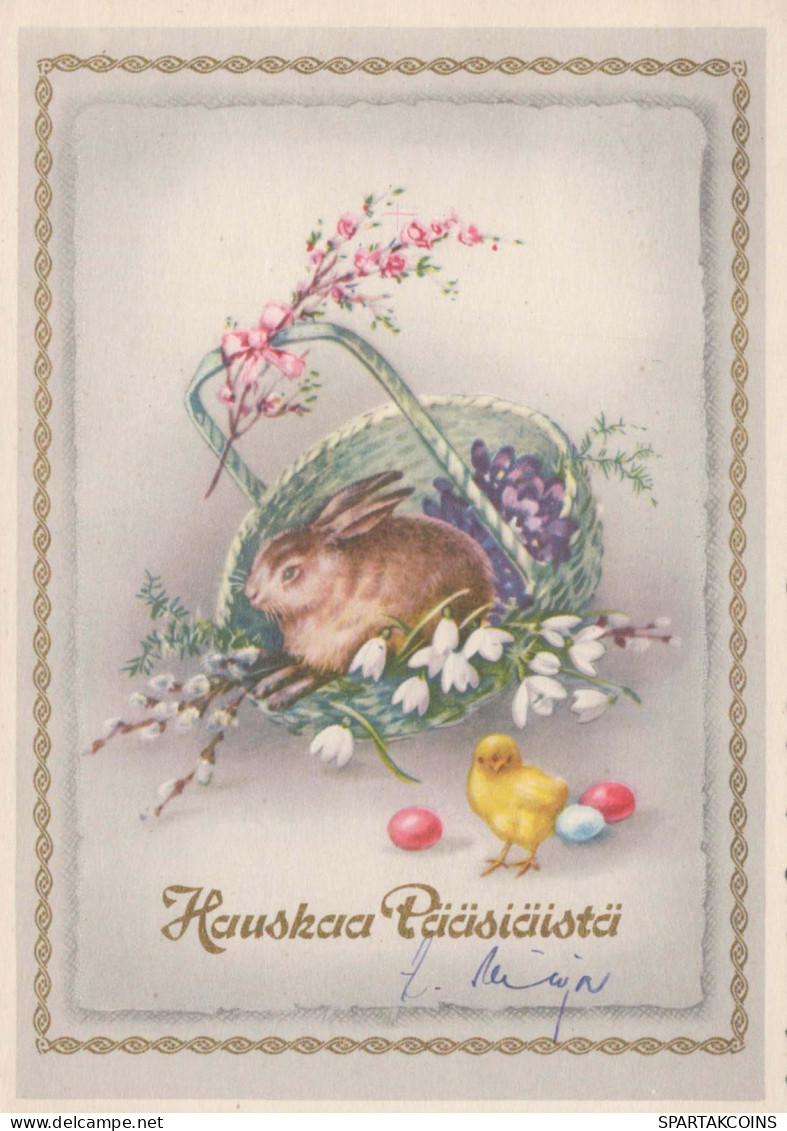 EASTER RABBIT Vintage Postcard CPSM #PBO413.GB - Pascua
