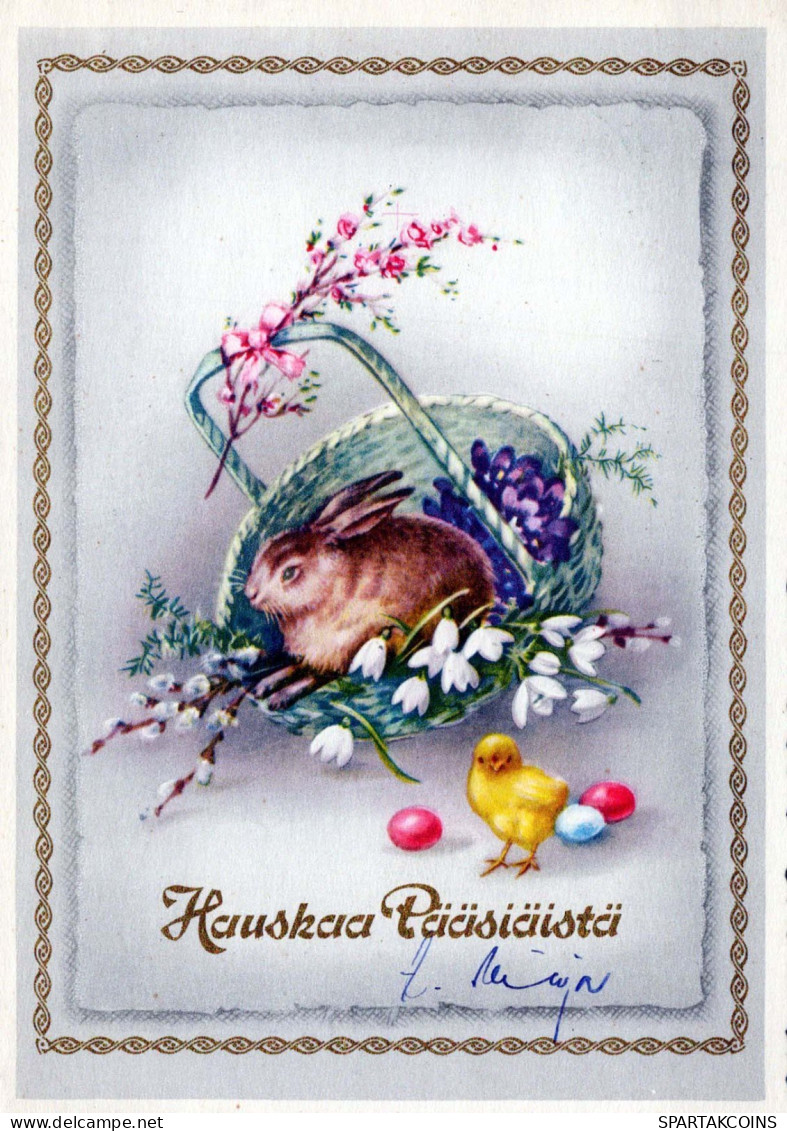 EASTER RABBIT Vintage Postcard CPSM #PBO413.GB - Pascua