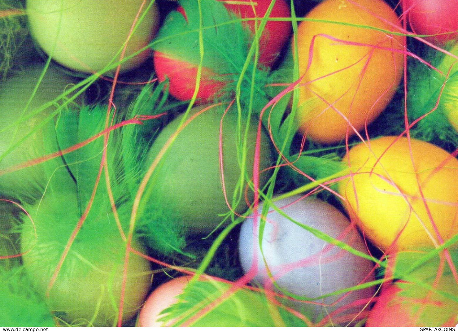 EASTER EGG Vintage Postcard CPSM #PBO161.GB - Pascua