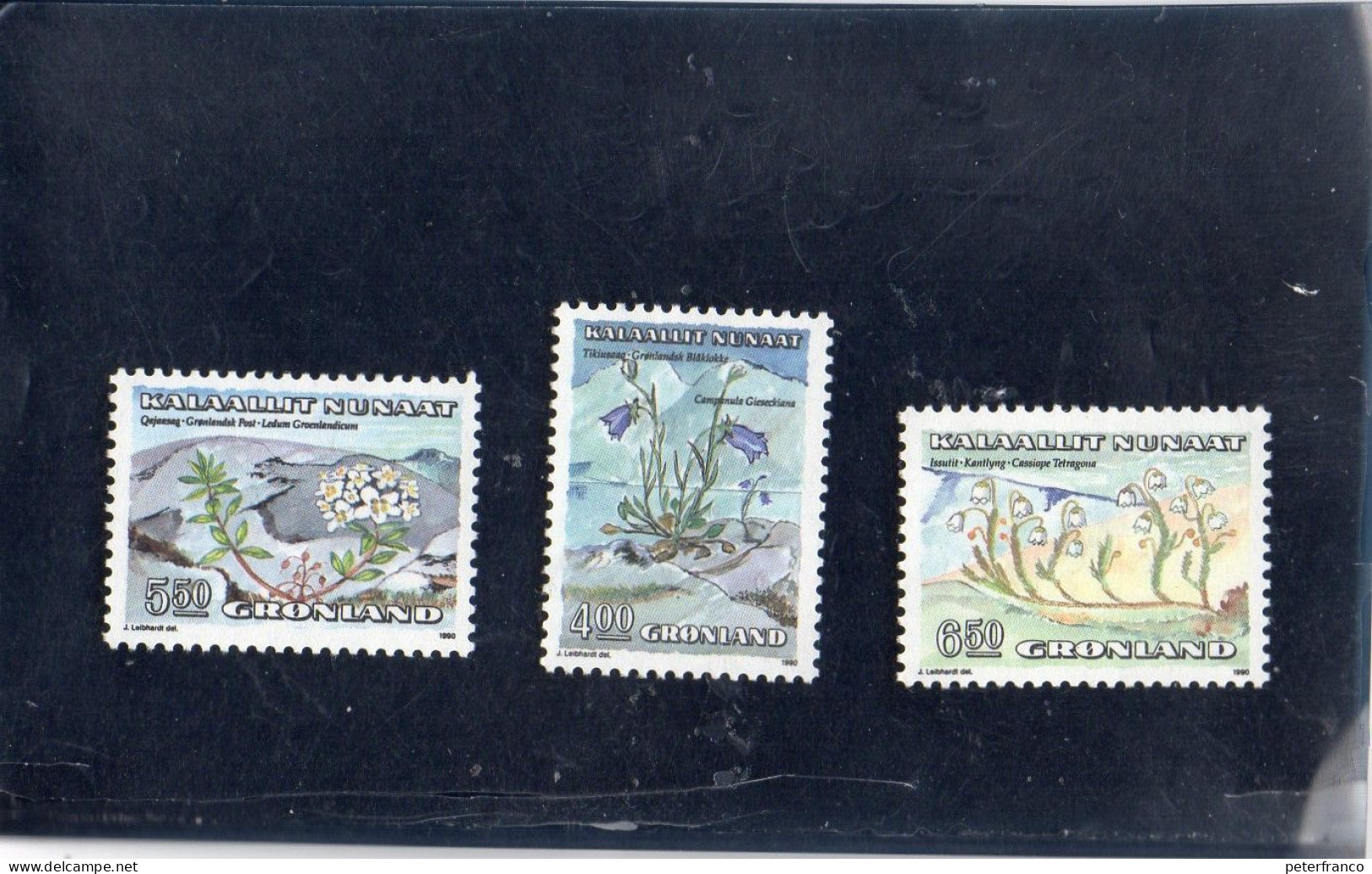 1990 Groenlandia - Flora - Unused Stamps