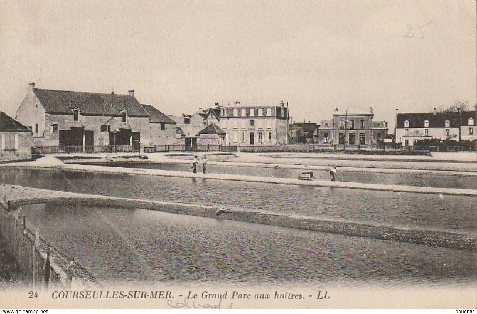 PE 3-(14) COURSEULLES SUR MER - LE GRAND PARC AUX HUITRES - 2 SCANS - Courseulles-sur-Mer