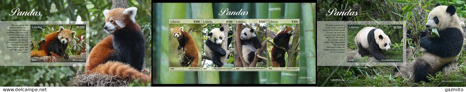 Liberia 2020, Animals, Panda, 4val In BF +2BF - Bears