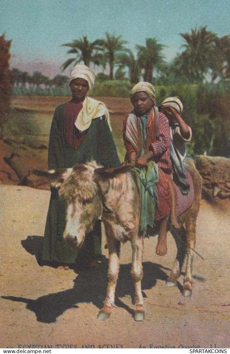 ASINO Animale Egypt Vintage CPA Cartolina #PAA160.IT - Ezels