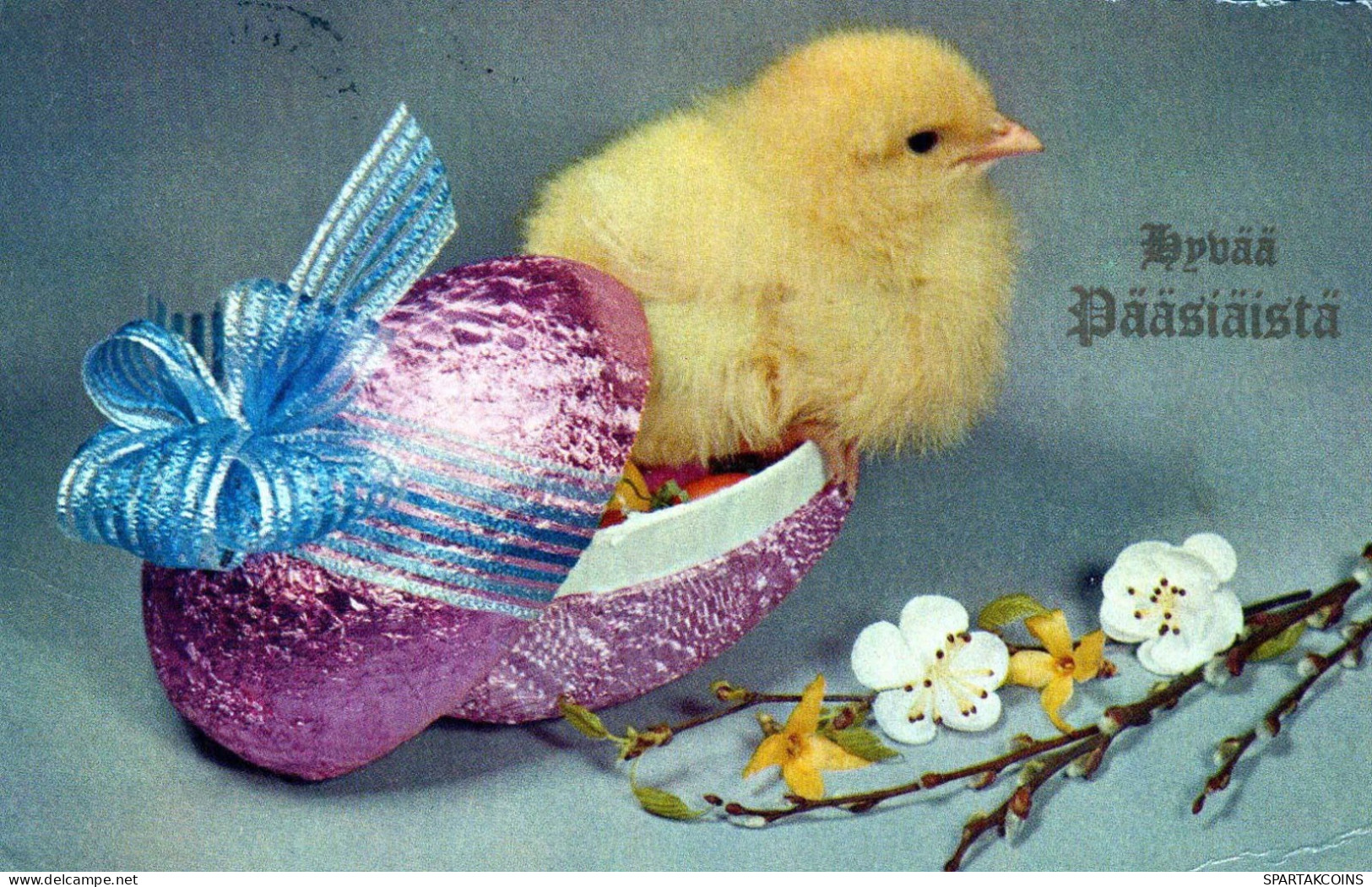 PASQUA POLLO UOVO Vintage Cartolina CPA #PKE429.IT - Pascua