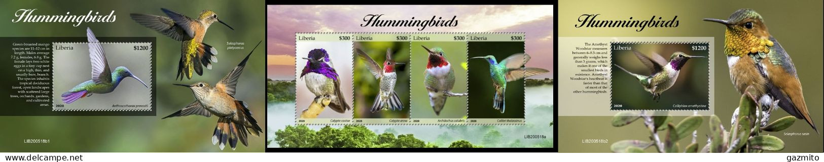 Liberia 2020, Animals, Hummingbirds, 4val In BF+2BF - Colibris