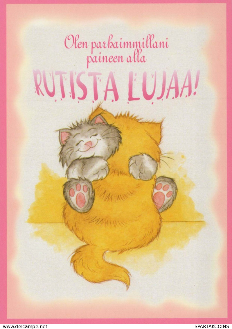 GATTO KITTY Animale Vintage Cartolina CPSM #PBQ839.IT - Cats