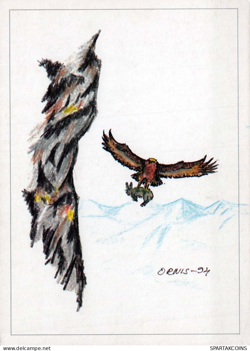 UCCELLO Animale Vintage Cartolina CPSM #PBR431.IT - Vogels