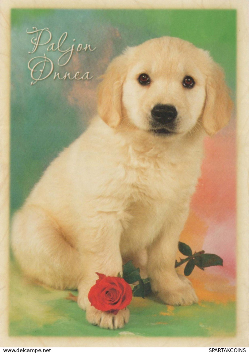 CANE Animale Vintage Cartolina CPSM #PBQ376.IT - Chiens