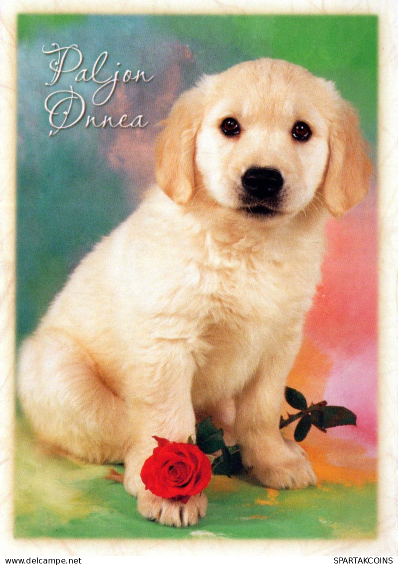 CANE Animale Vintage Cartolina CPSM #PBQ376.IT - Dogs