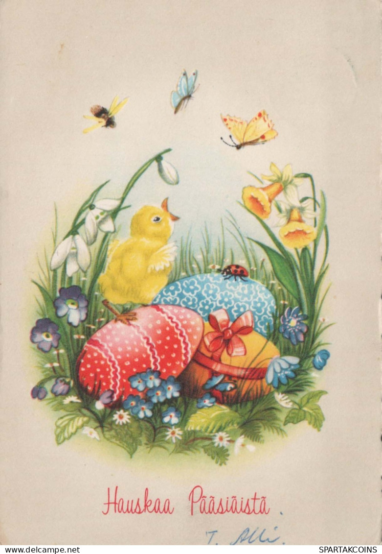 PASQUA POLLO UOVO Vintage Cartolina CPSM #PBP171.IT - Pascua