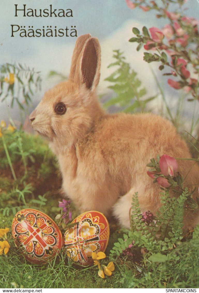 PASQUA CONIGLIO Vintage Cartolina CPSM #PBO418.IT - Pascua