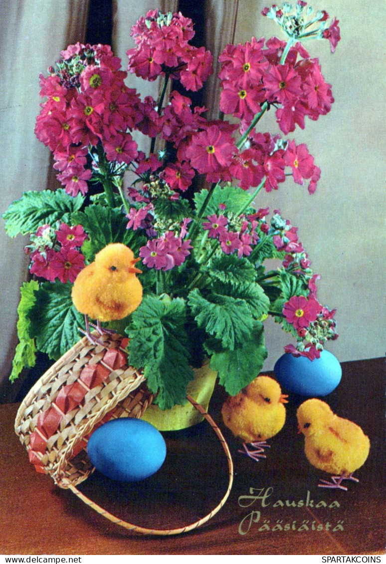 PASQUA POLLO UOVO Vintage Cartolina CPSM #PBO607.IT - Pascua