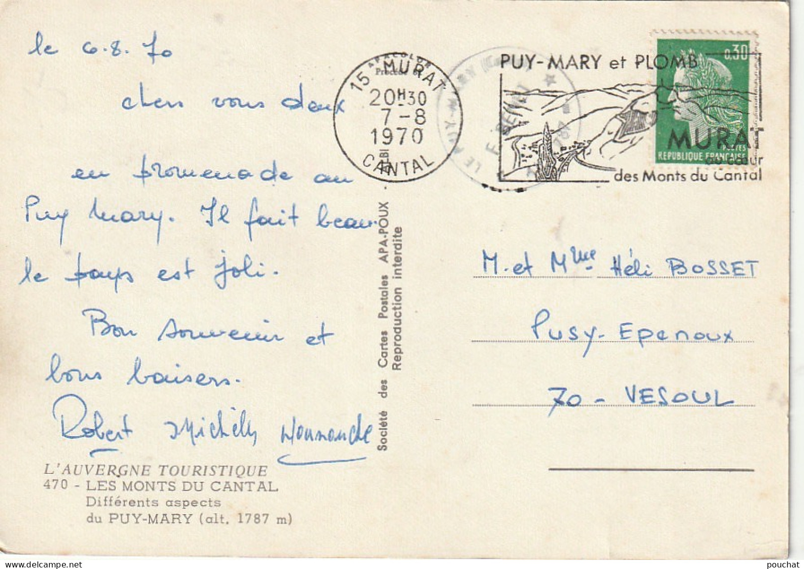 PE 6-(15) PUY MARY - CARTE COULEURS MULTIVUES  - 2 SCANS - Sonstige & Ohne Zuordnung