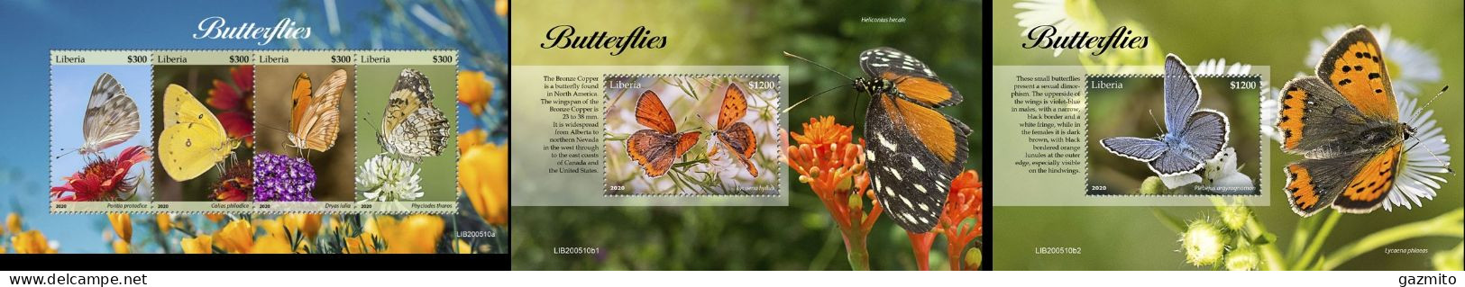 Liberia 2020, Animals, Butterflies II, 4val In BF +2BF - Schmetterlinge