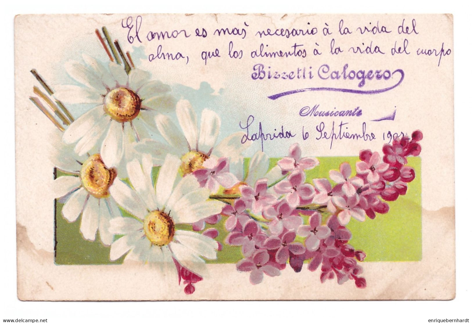 MOTIVO FLORAL // 1907 - Andere & Zonder Classificatie