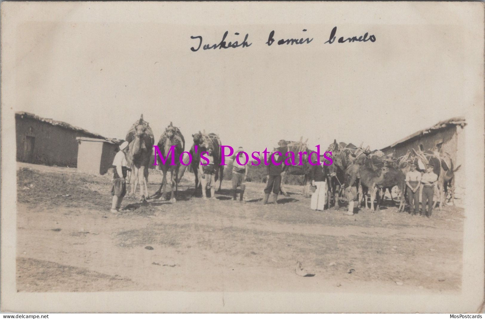 Animals Postcard - Turkish Carrier Camels, Sailors And Soldiers  DZ274 - Other & Unclassified