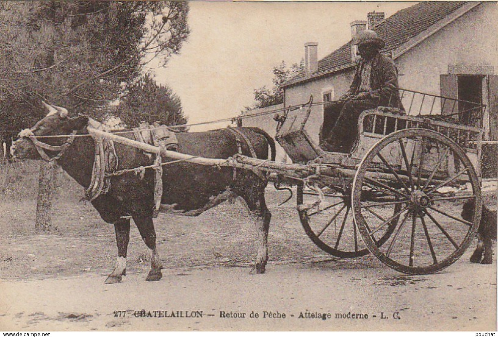 PE 9-(17) CHATELAILLON - RETOUR DE PECHE - ATTELAGE MODERNE  - CARRIOLE ET BOEUF - 2 SCANS - Châtelaillon-Plage