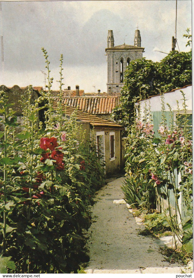 PE 11-(17) MESCHERS SUR GIRONDE - RUE DES PASSES ROSES ET CLOCHER ROMAN - CARTE COULEURS - 2 SCANS - Meschers