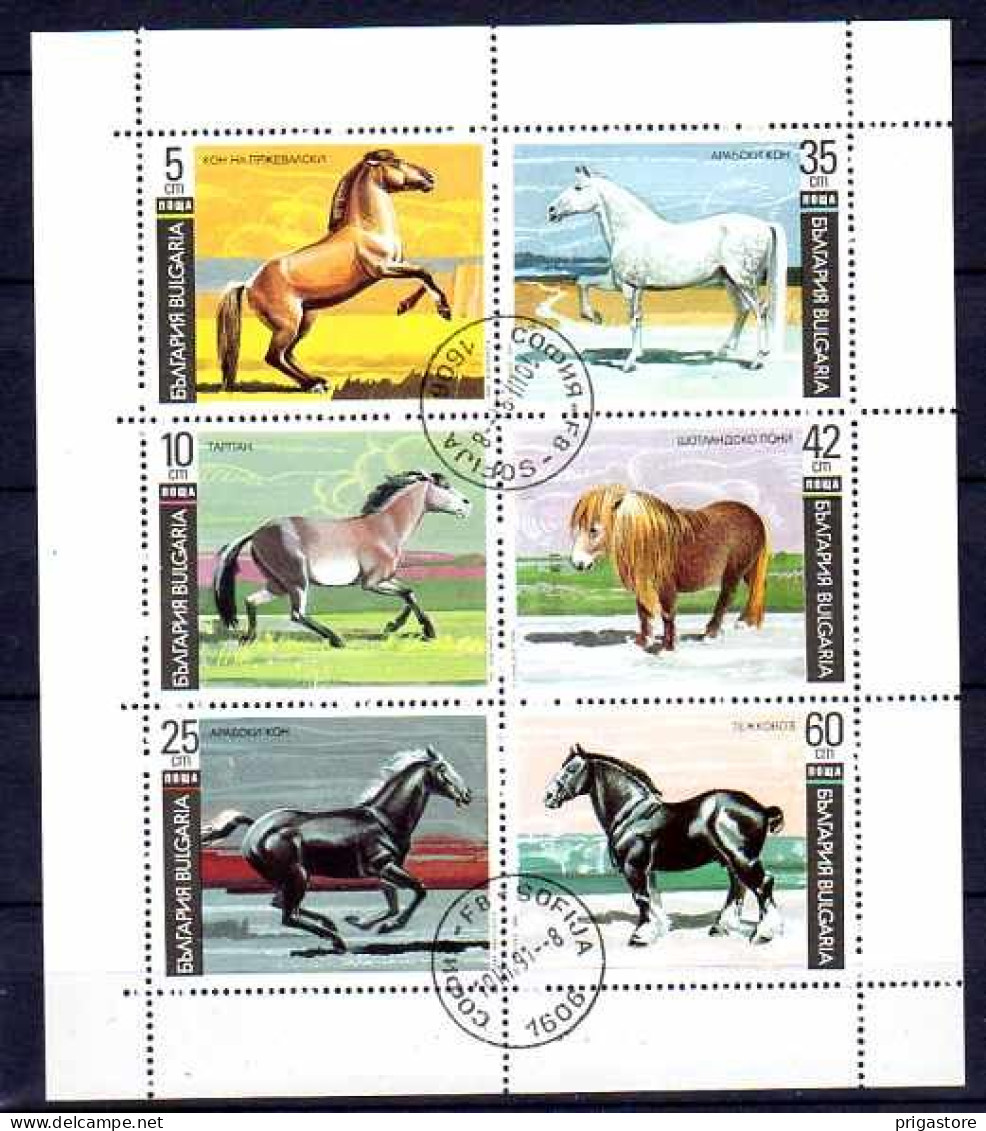 Chevaux Bulgarie 1991 (42) Yvert N° 3373 à 3378 Oblitéré Used - Paarden