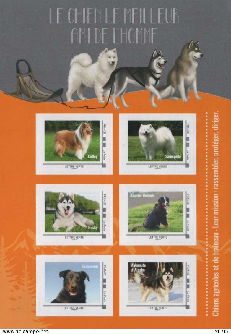 Collectors - Le Chien Meilleur Ami De L'Homme - Chiens Agricoles Et De Traineau - Collectors