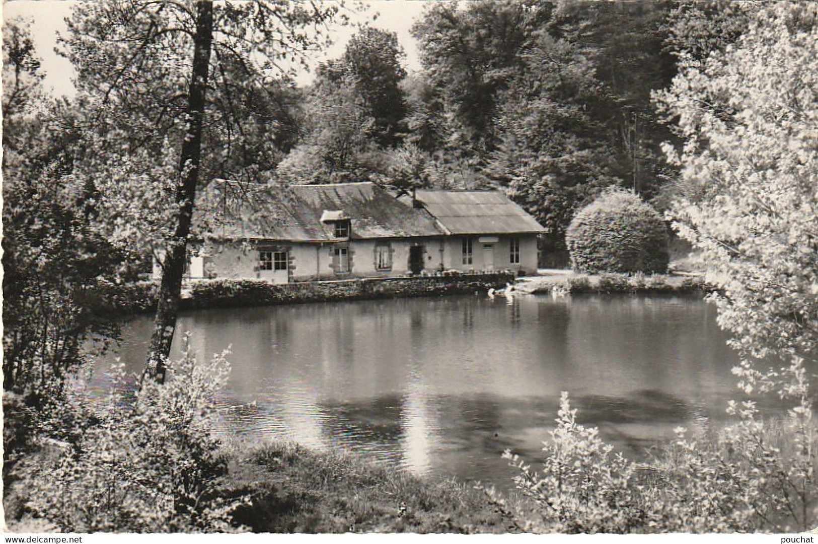 PE 14 -(19)  SAINT SALVADOUR - ETANG DE FLEYSSAC - 2 SCANS - Autres & Non Classés