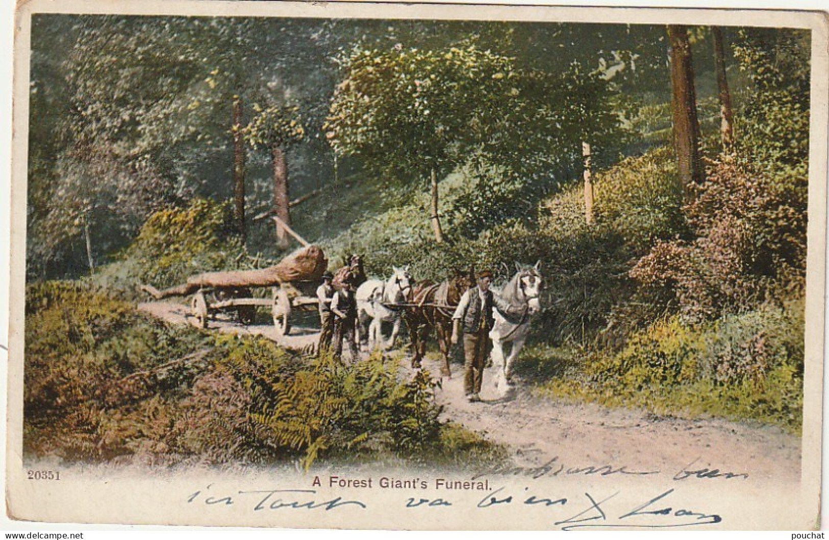 PE 18 -" A FOREST GIANT' S FUNERAL "- ATTELAGE DE CHEVAUX - TRANSPORT D' UN ARBRE  (1905) - 2 SCANS - Paesani