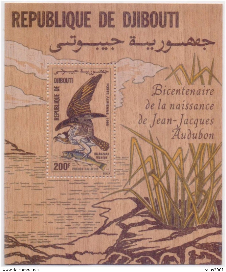 J.J. Audubon, American Ornithologist, Naturalist, Eagle Hunting Fish, Bird, Birds Unusual Odd Wooden Djibouti MS MNH - Disease